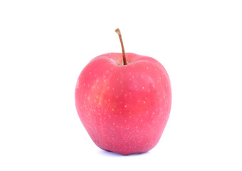 Obraz na płótnie Canvas Apple in the white background isolated .clipping path