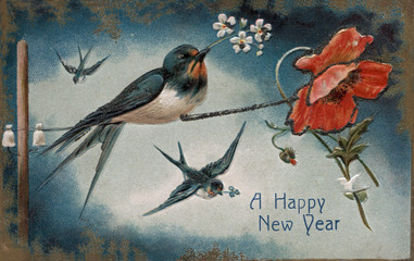 Vintage Postcard, Antique Greeting card, blue birds, swallows on a branch with a red flower, a Happy New Year