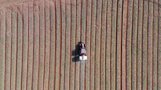 Tractor hauling a Two disc Fertilizer spreader in a large field, Aerial follow footage.