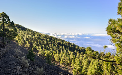 Fototapeta na wymiar Natural park Cuembra Vieja on La Palma island, Spain