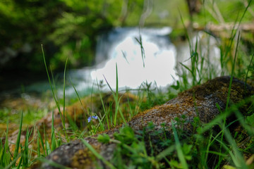 An old fallen tree in the grass with a waterfall in the background