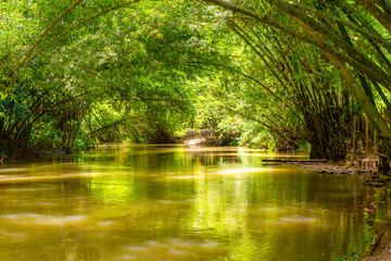 Fototapeta na wymiar Martha Brae River in Falmouth, Trelawny parish, Jamaica. Beautiful lush green natural canopy foliage landscape. Romantic nature setting, famous for rafting. Popular tourist attraction/ excursion.