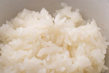 ご飯