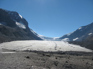 Fototapeta premium Athabasca Glacier, Jasper National Park, Alberta