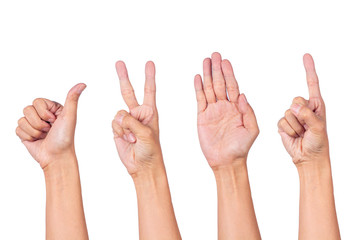 Various hand symbols isolated on white background.Thumbs up, Lift two fingers,Lift your index finger,Raise palm,