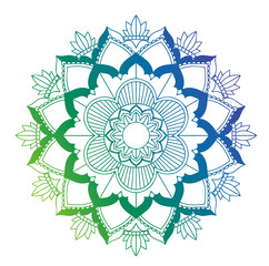 Mandala patterns on white background