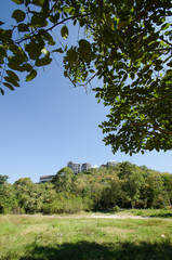 landscape with trees and blue sky