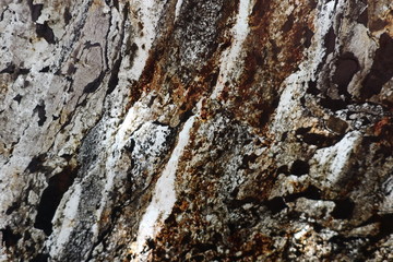 texture