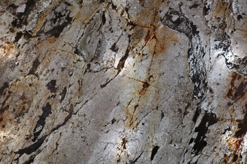 old wood texture