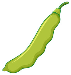 Green bean on white background