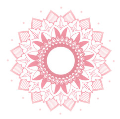 Mandala patterns on pink background