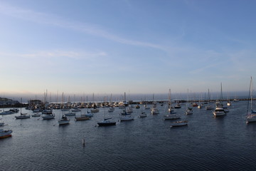 Fototapeta na wymiar Monterey Sail Boats