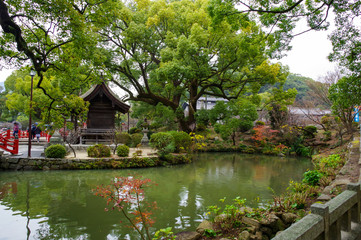 Fototapeta na wymiar 大宰府にある日本庭園
