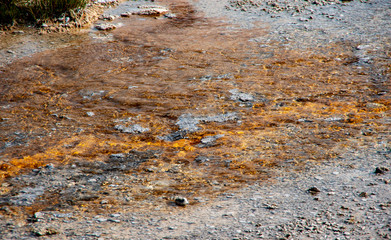 500px Photo ID: 1007883094