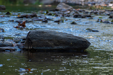 A large rock in the middle of the frame taken during a stream study by elementary students. Picture taken in landscape horizontal orientation.