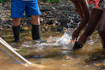 Elementary school aged children gather macro invertebrates from the stream to determine if the water is healthy.