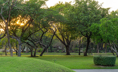 Beautiful green public park in the morning