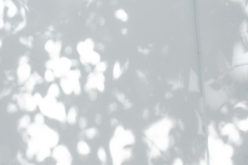 Gray shadow of the tree leaves on a white wall
