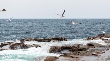 High waves crashing into the rock formations of the beach with many birds and large, pointed rocks.You can see when the wave hits the rock and scatters seawater everywhere.Many drops of water falling.