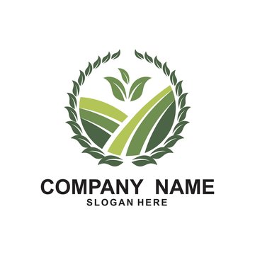 Agriculture Logo Template. Rice plants, and Wheat plants logo design.
