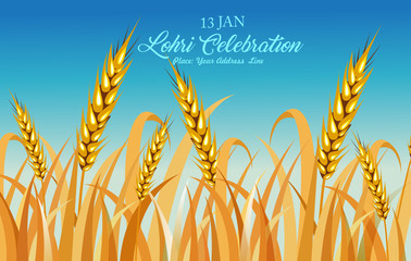 Happy Lohri illustration for Punjabi harvest festival holiday background - Vector