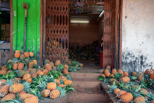 ripe and fragrant pineapples on a bright green background. concept of summer, relaxation and healthy food