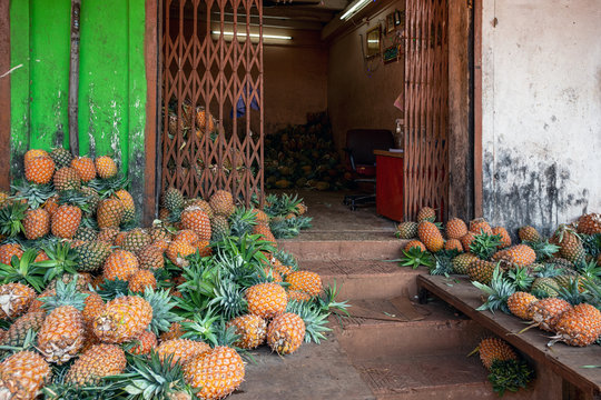 ripe and fragrant pineapples on a bright green background. concept of summer, relaxation and healthy food