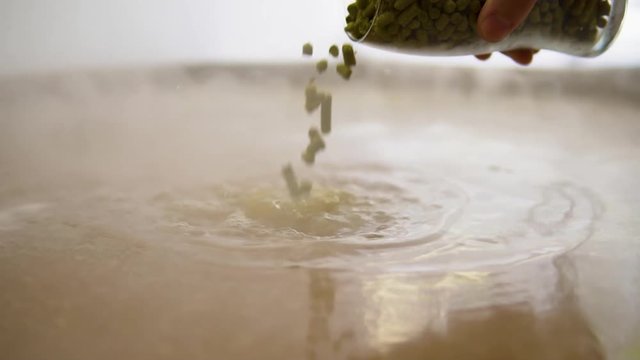 wort being thrown to boiling water.  Beer cooking. Throwing must to boiling water.