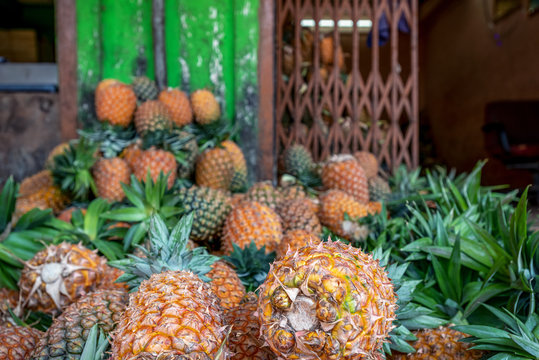 ripe and fragrant pineapples on a bright green background. concept of summer, relaxation and healthy food