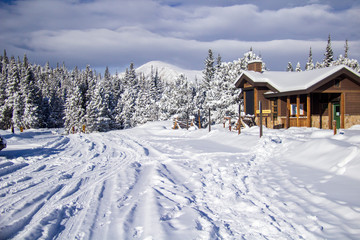 Snowshoe adventure Boulder County 12/2019
