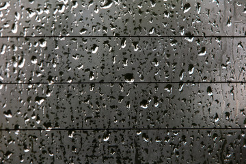 rain drops on the window