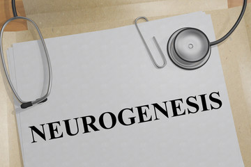 NEUROGENESIS - biomedical concept