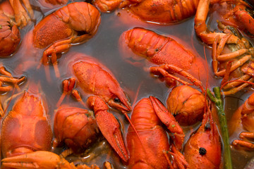 Crayfish boiled in a pan during cooking