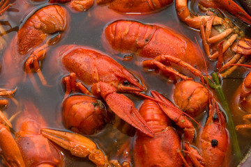 Crayfish boiled in a pan during cooking