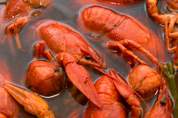 Crayfish boiled in a pan during cooking