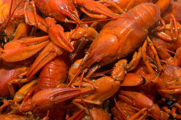 Crayfish boiled on a plate on the table before eating