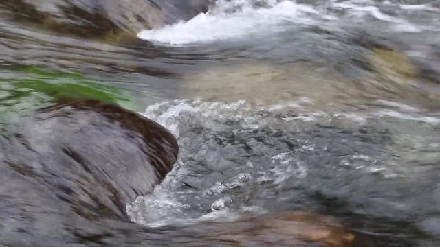 The clean water of the stream, as a bioindicator to determine the environmental quality for pollution. Concept of pollution of the planet, caused by climate change. Soft focus, close up footage.
