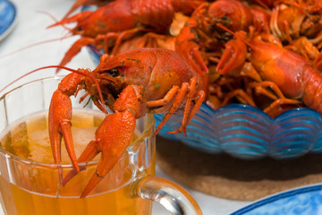 Boiled crayfish sits on a beer mug