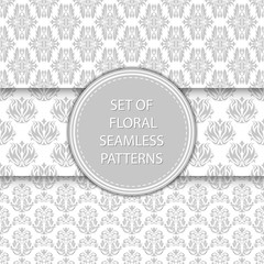 Gray and white floral seamless backgrounds. Compilation of patterns