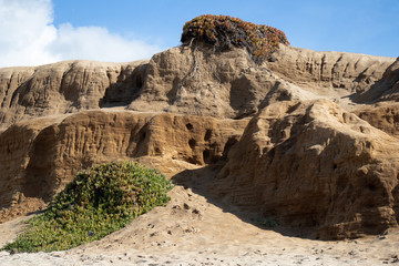 Fototapeta premium Sand dunes at Marina State Beach Monterey County California