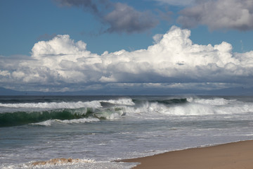 Green waves at Marina State Beach Monterey County California