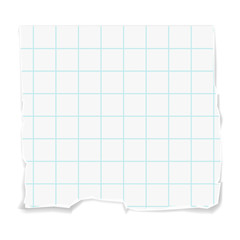 Blank piece of paper from a notebook