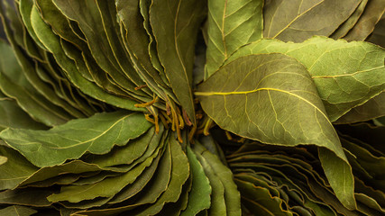 Creative layout made of bright green laurel leaves (bay leaf, laurus nobilis). Texture, cooking background of green leaves. Flat lay, close up - obrazy, fototapety, plakaty