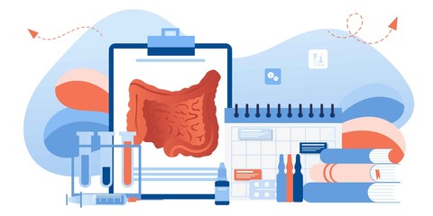Digestive system health. Treat dysbiosis, harmful bacteria, intestine doctor examine. Doctor appointment. Online consultation. Human anatomy healthcare medical concept. For landing page, banner, flyer