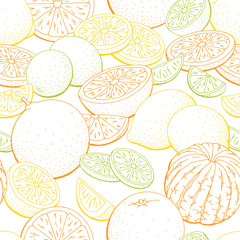 Orange lemon lime fruit graphic color seamless pattern background sketch illustration vector