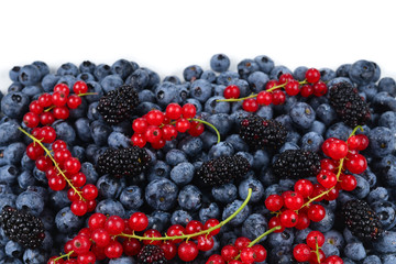 Blackberry, raspberry, blueberry,  red currant and mint background.
