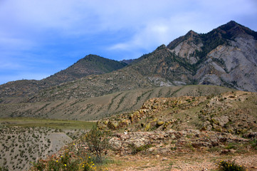 High rocky mountains overgrown with rare pine trees and a fertile valley at the foot.