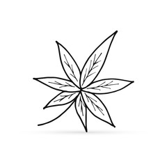 Doodle black cannabis leaf icon isolated. Marijuana, cannabis logo graphics. Outline art. Sketch vector illustration