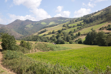 Fototapeta na wymiar View of Landscape in Villayon, Asturias