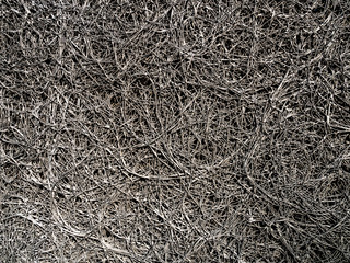 Background texture of rotten